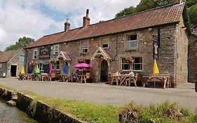 Plume of Feathers Blagdon